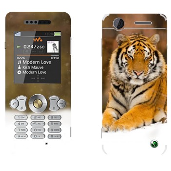 Sony Ericsson W302