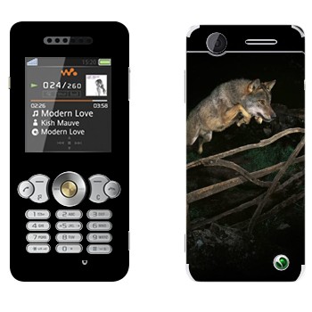 Sony Ericsson W302