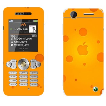 Sony Ericsson W302