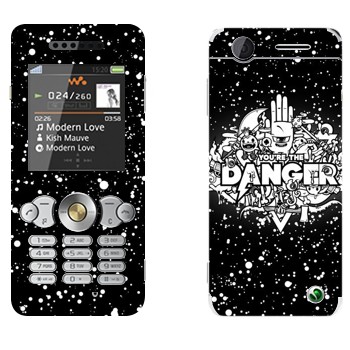   « You are the Danger»   Sony Ericsson W302