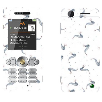   « - Kisung»   Sony Ericsson W302