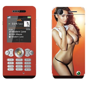 Sony Ericsson W302