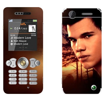   « - »   Sony Ericsson W302