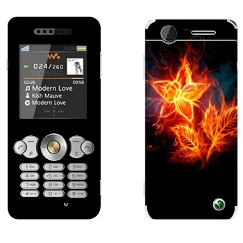 Sony Ericsson W302