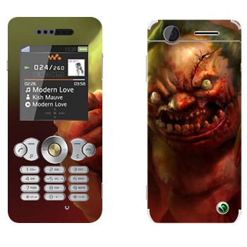 Sony Ericsson W302