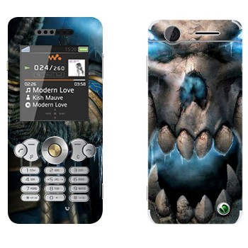   «Wow skull»   Sony Ericsson W302