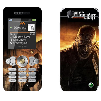   «Dying Light »   Sony Ericsson W302