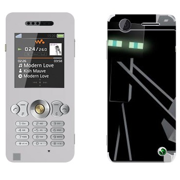 Sony Ericsson W302