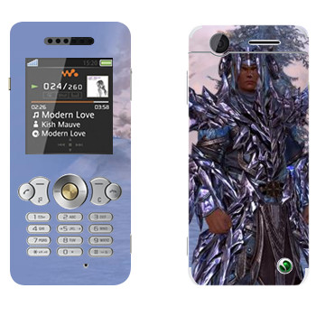   «Neverwinter »   Sony Ericsson W302