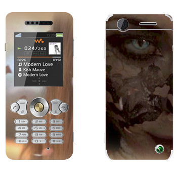 Sony Ericsson W302