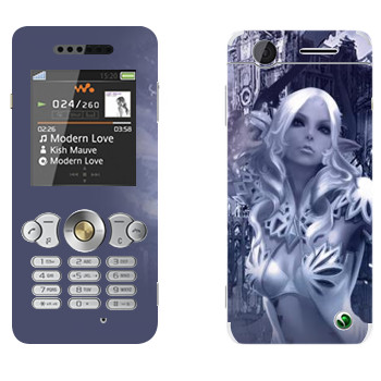   « »   Sony Ericsson W302