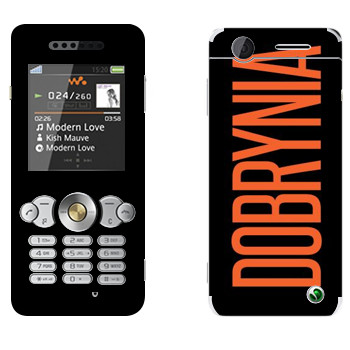   «Dobrynia»   Sony Ericsson W302