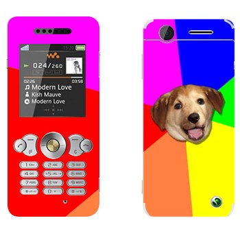   «Advice Dog»   Sony Ericsson W302