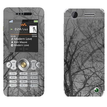   «»   Sony Ericsson W302