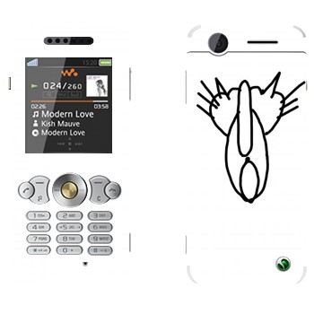 Sony Ericsson W302