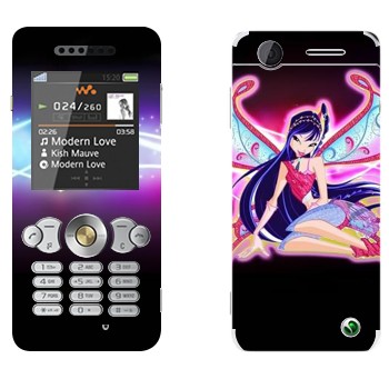   «  - WinX»   Sony Ericsson W302