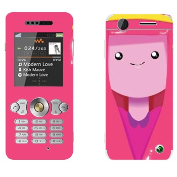   «  - Adventure Time»   Sony Ericsson W302