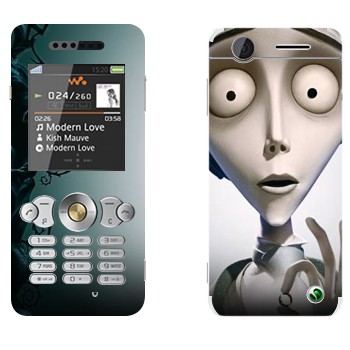   «   -  »   Sony Ericsson W302