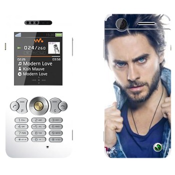 Sony Ericsson W302