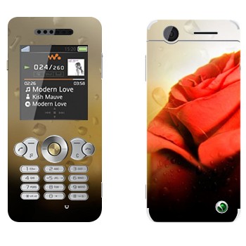   « »   Sony Ericsson W302