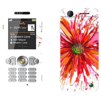   «  »   Sony Ericsson W302