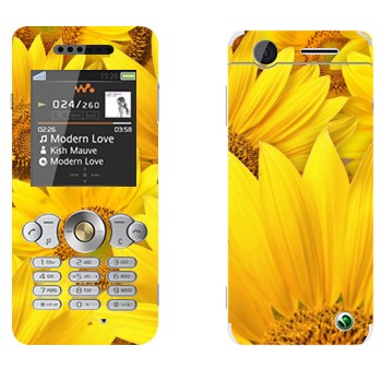   « »   Sony Ericsson W302