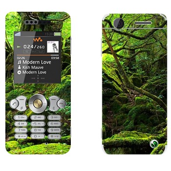   «  »   Sony Ericsson W302