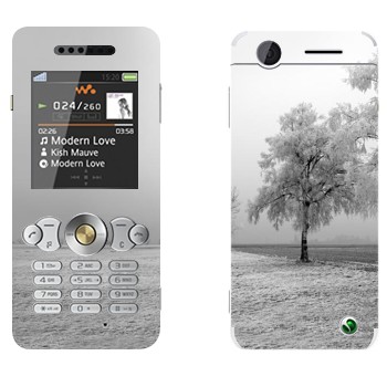   « »   Sony Ericsson W302