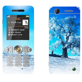   « »   Sony Ericsson W302