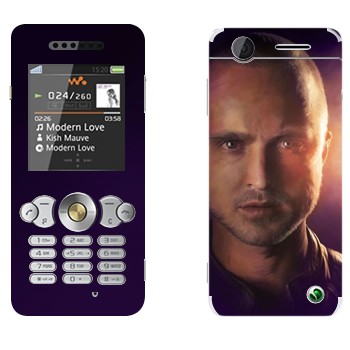 Sony Ericsson W302