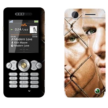 Sony Ericsson W302