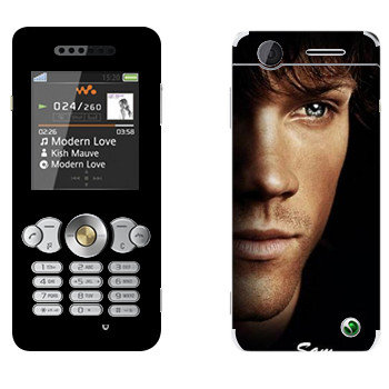   « »   Sony Ericsson W302