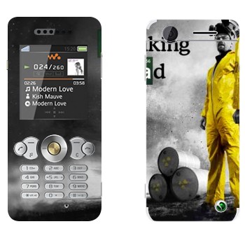 Sony Ericsson W302