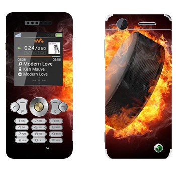   «  »   Sony Ericsson W302