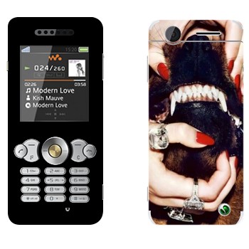   «Givenchy  »   Sony Ericsson W302