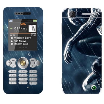 Sony Ericsson W302