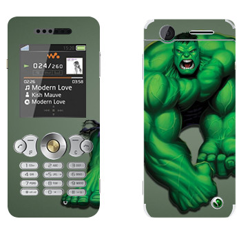   «»   Sony Ericsson W302