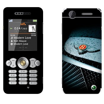 Sony Ericsson W302