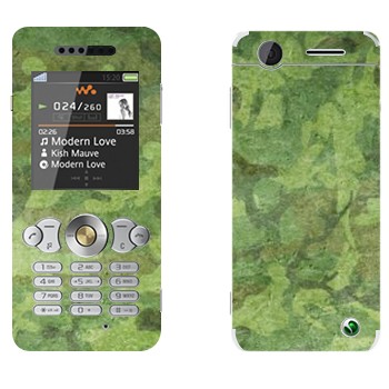 Sony Ericsson W302