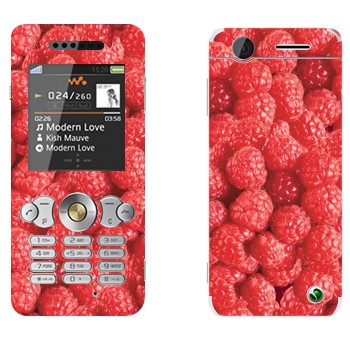 Sony Ericsson W302