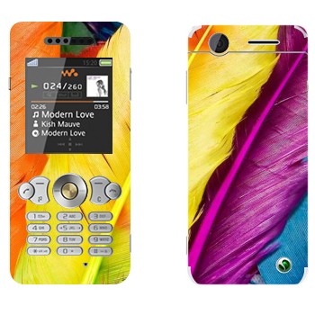 Sony Ericsson W302