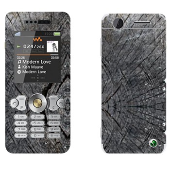 Sony Ericsson W302