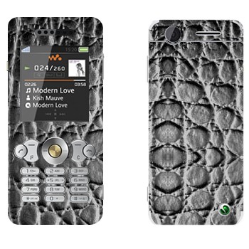 Sony Ericsson W302