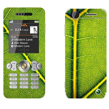 Sony Ericsson W302