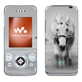   «   »   Sony Ericsson W580