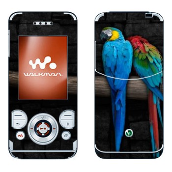   «  »   Sony Ericsson W580