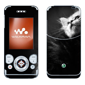   « -»   Sony Ericsson W580
