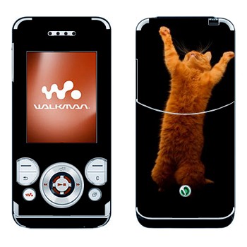   «     »   Sony Ericsson W580