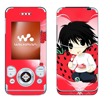 Sony Ericsson W580