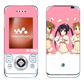 Sony Ericsson W580